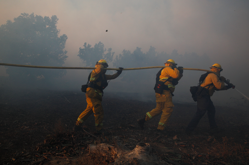 Firefighters put out a wildfire burning in an orchard Tuesday, Dec. 5, 2017, in Santa Paula, CA. (Image: AP)